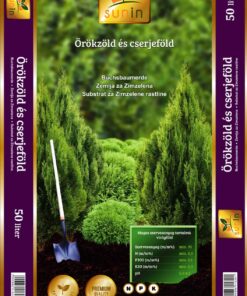 Örökzöld és cserjeföld